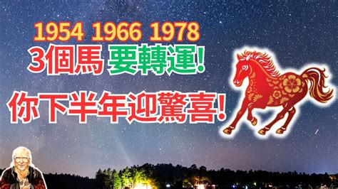 1978生肖馬|1978年屬馬是什麼命，1978年出生人的命運